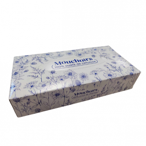 BOÎTE DISTRIBUTRICE de 100 MOUCHOIRS
